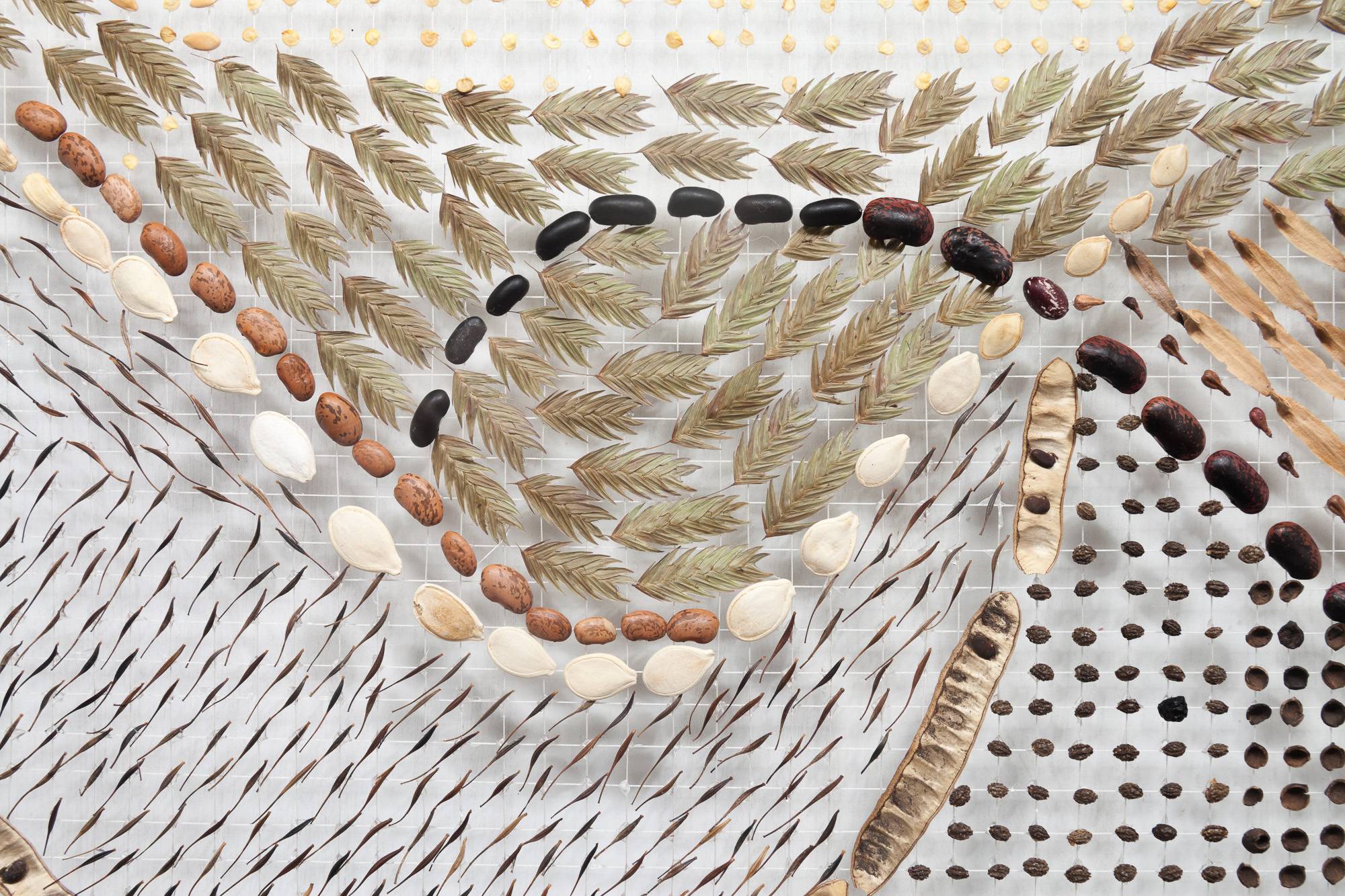 detail of seeds arranged on string grid